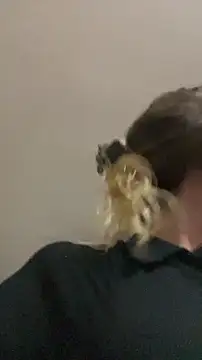 blond-96 online show from 3, 4, 2026