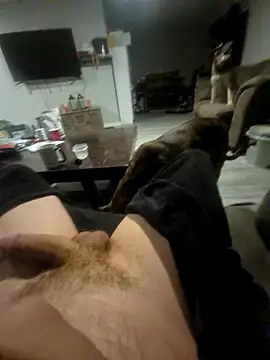 Justme 8519 online show from 28, 6, 2026