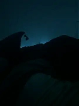 bjarson123 online show from 11, 2, 2026