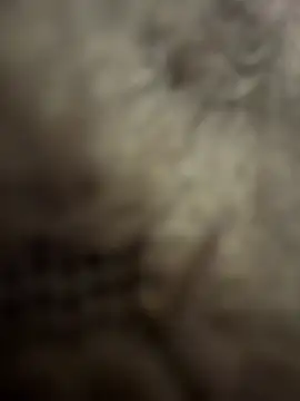 anonimgirl18old online show from 3, 2, 2026