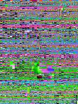 Cute-Sakhi online show from 14, 12, 2025