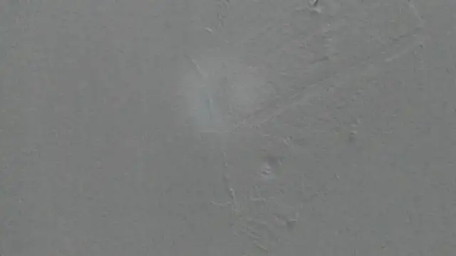 Snapshot of Sophia_Ebony chatting on 8, 2, 2026 Sophia Ebony online show from 8, 2, 2026