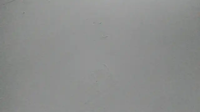 Snapshot of Sophia_Ebony chatting on 25, 2, 2026 Sophia Ebony online show from 25, 2, 2026