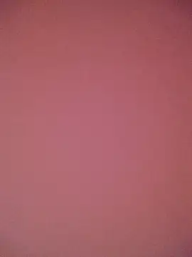 PointXXL online show from 9, 3, 2026