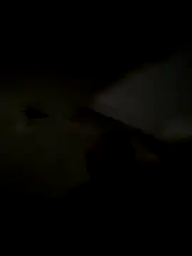 freedmar online show from 5, 11, 2025