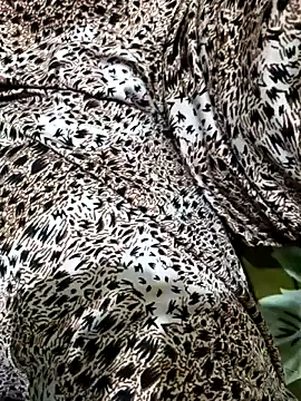 Dassing strip couple online show from 5, 4, 2026