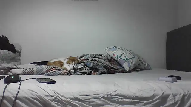 Snapshot of kocasosisli chatting on 30, 5, 2026 kocasosisli online show from 30, 5, 2026