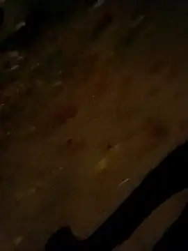 jvdzj-0  online show from 28, 10, 2025