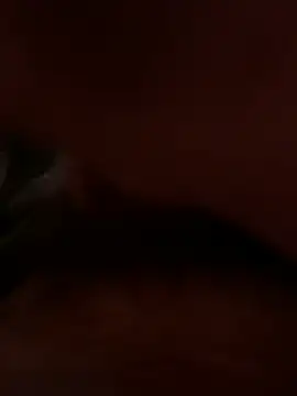 dice4422 online show from 2, 4, 2026