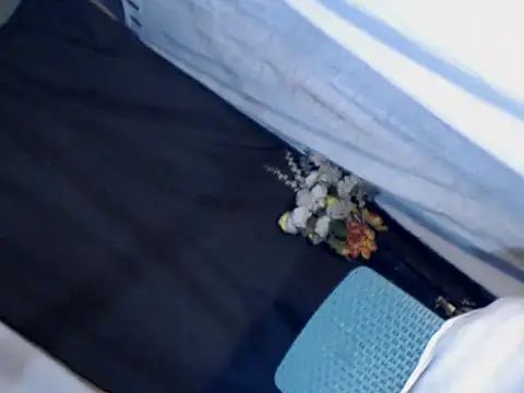 Snapshot of xyourdreamtrans chatting on 24, 9, 2025 xyourdreamtrans online show from 24, 9, 2025