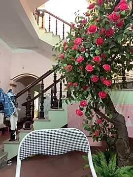 Bollozzy 89 online show from 24, 9, 2025