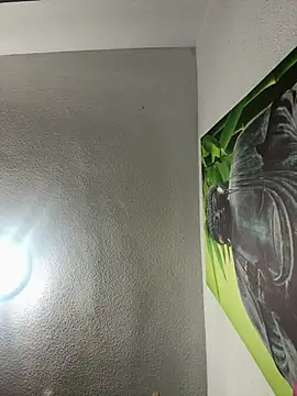 aavrdvh33 online show from 22, 3, 2026