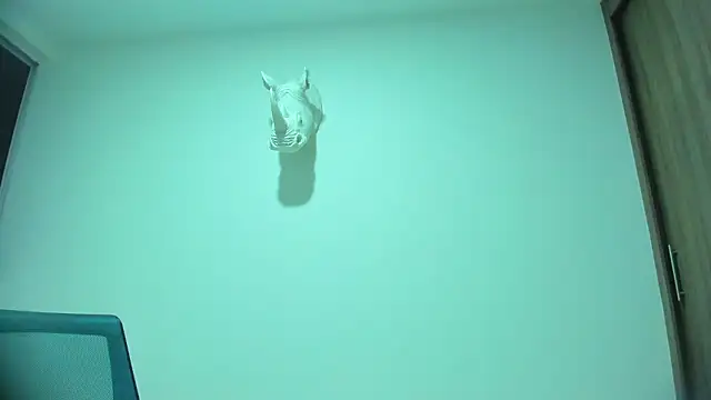 Dagoti online show from 3, 2, 2026