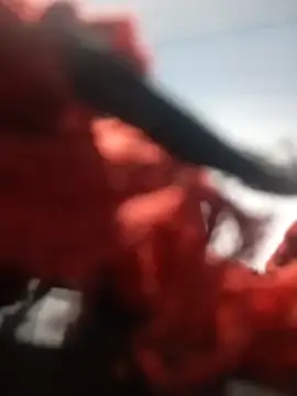 Snapshot of b_ele chatting on 30, 9, 2025 b ele online show from 30, 9, 2025