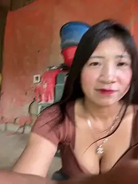 ThiHa003 online show from 14, 2, 2026