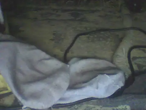 Snapshot of Bebita-zmp chatting on 11, 7, 2026 Bebita-zmp online show from 11, 7, 2026