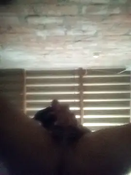 jocafe1995 online show from 21, 4, 2026