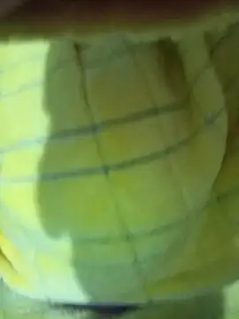 Hnonasix89 online show from 24, 11, 2025