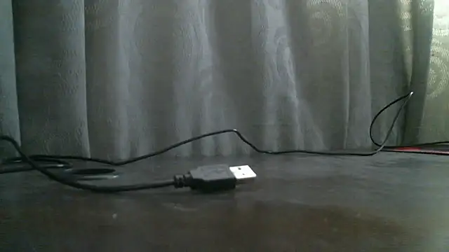  ari gato  online show from 4, 11, 2025