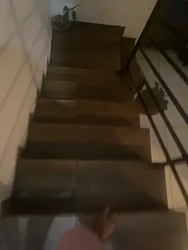 pretalst online show from 19, 11, 2025