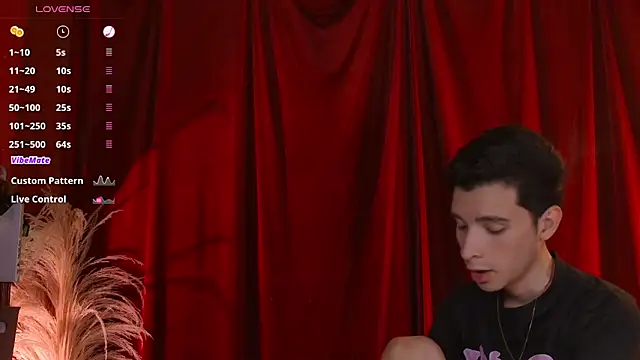 VicenteFerrer online show from 22, 2, 2026