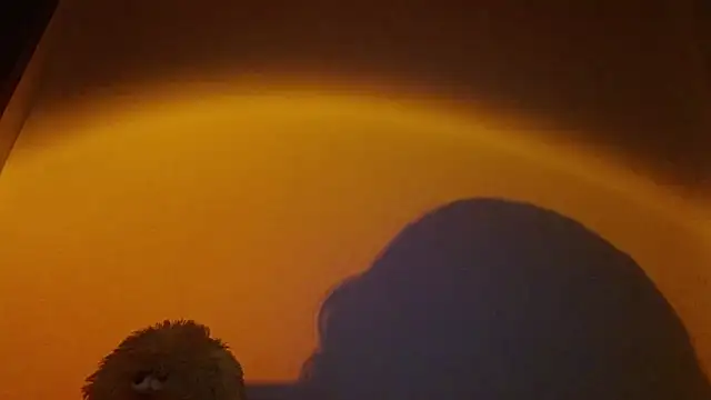 lia ana online show from 24, 3, 2026