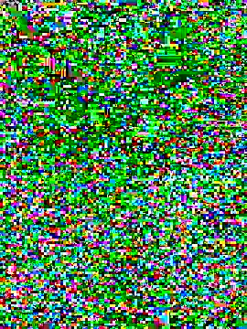 linhbe96xxx online show from 3, 11, 2025