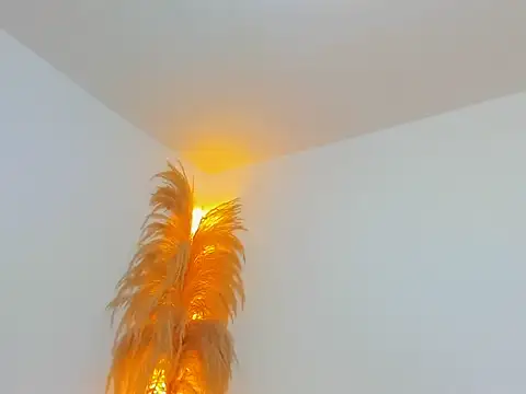 Snapshot of Kieran_kian chatting on 13, 2, 2026 Kieran kian online show from 13, 2, 2026