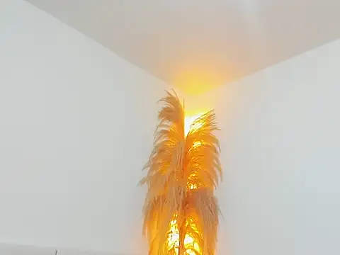 Snapshot of Kieran_kian chatting on 14, 2, 2026 Kieran kian online show from 14, 2, 2026