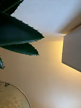 Michel huge online show from 12, 1, 2026