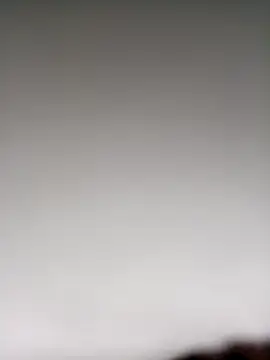 Theredcorazon online show from 3, 12, 2025