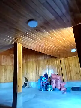 Tiyir597 online show from 1, 12, 2025