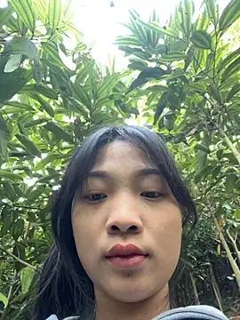 Phayphay77 online show from 25, 11, 2025