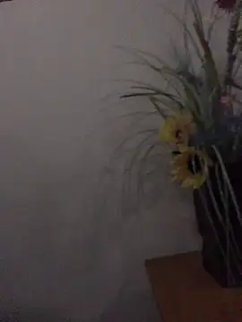 Snapshot of newjam chatting on 26, 10, 2025 newjam online show from 26, 10, 2025