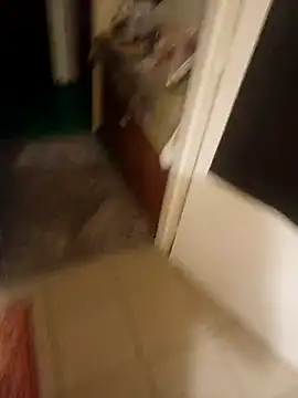 PavloBok online show from 5, 2, 2026