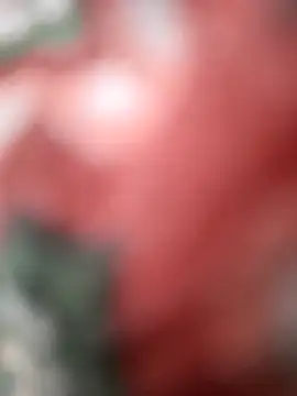 SexyBhabhi323 online show from 5, 10, 2025