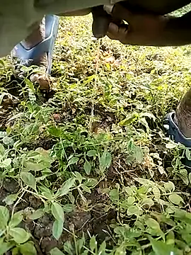 BlackhorseBBC online show from 14, 10, 2025