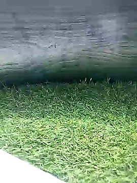 BlackhorseBBC online show from 26, 3, 2026