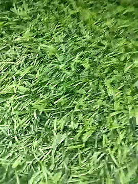 BlackhorseBBC online show from 12, 4, 2026