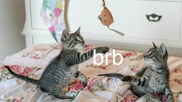 Snapshot of Pink_girl0n chatting on 18, 3, 2026 Pink girl0n online show from 18, 3, 2026