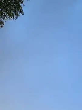 raen001 online show from 24, 11, 2025