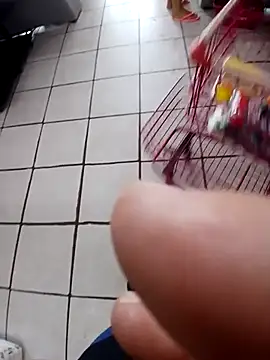 cicinha3657 online show from 20, 2, 2026