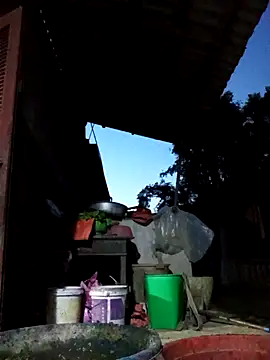 Bibilenu online show from 19, 10, 2025