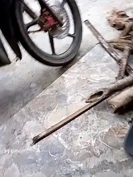 Bibilenu online show from 9, 11, 2025