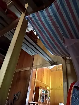 Bibilenu online show from 15, 11, 2025