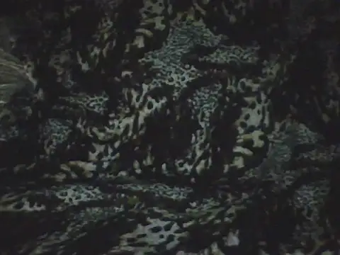 mafiaegypt888 online show from 28, 3, 2026