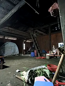 Snapshot of Exembin chatting on 8, 11, 2025 Exembin online show from 8, 11, 2025