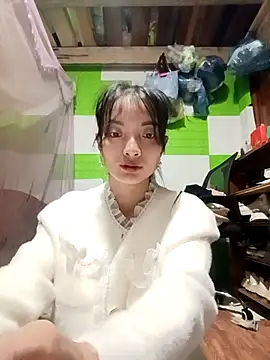 tdtd98 online show from 24, 11, 2025