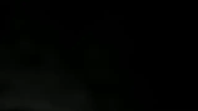 WILD FIREE  online show from 2, 12, 2025