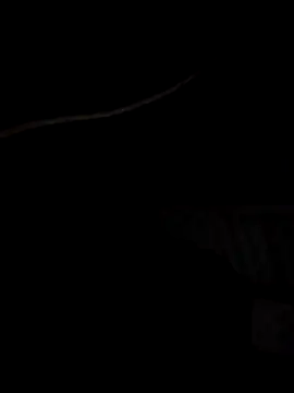 Snapshot of Xharmakesyoufeelorgasms chatting on 19, 10, 2025 Xharmakesyoufeelorgasms online show from 19, 10, 2025